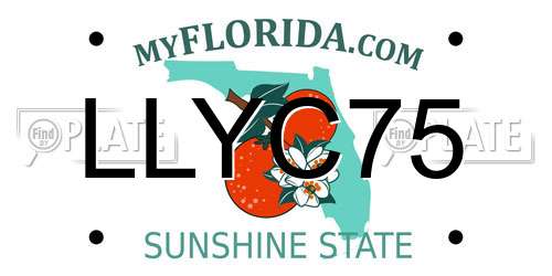 LLYC75 Florida License Plate