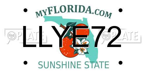 LLYE72 Florida License Plate