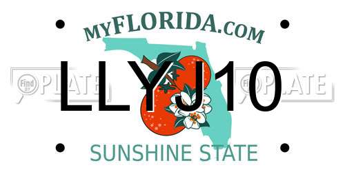 LLYJ10 Florida License Plate