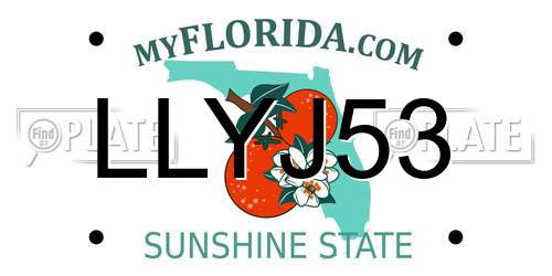 LLYJ53 Florida License Plate