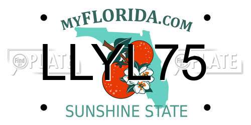 LLYL75 Florida License Plate