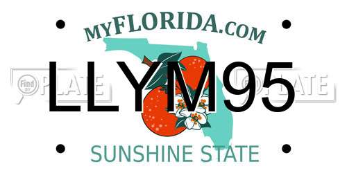 LLYM95 Florida License Plate