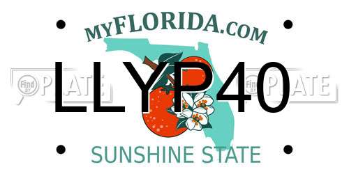 LLYP40 Florida License Plate