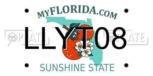 LLYT08 Florida License Plate