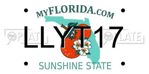 LLYT17 Florida License Plate