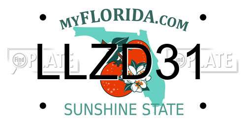 LLZD31 Florida License Plate