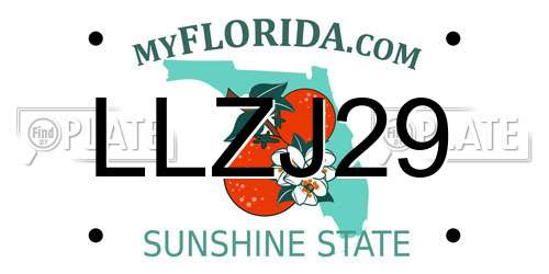 LLZJ29 Florida License Plate