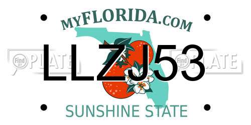 LLZJ53 Florida License Plate