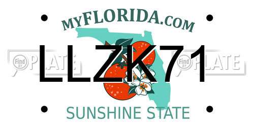 LLZK71 Florida License Plate