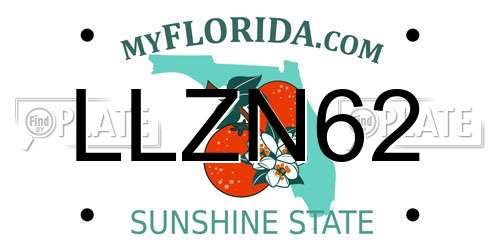 LLZN62 Florida License Plate