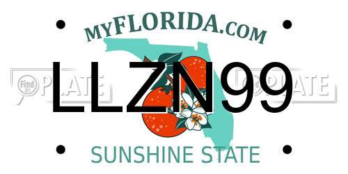 LLZN99 Florida License Plate