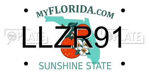 LLZR91 Florida License Plate