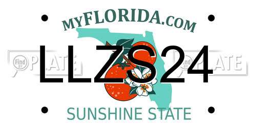 LLZS24 Florida License Plate