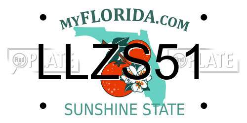 LLZS51 Florida License Plate