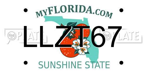 LLZT67 Florida License Plate