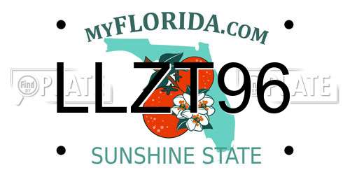 LLZT96 Florida License Plate
