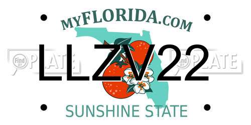 LLZV22 Florida License Plate