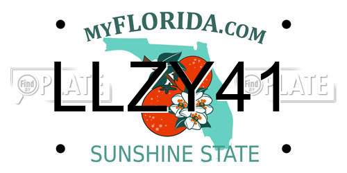 LLZY41 Florida License Plate