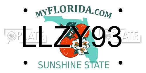 LLZY93 Florida License Plate
