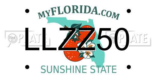 LLZZ50 Florida License Plate