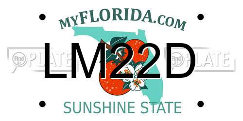 LM22D Florida License Plate