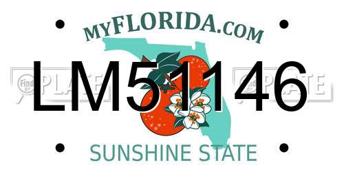 LM51146 Florida License Plate