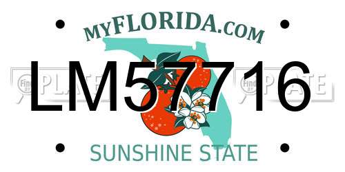 LM57716 Florida License Plate