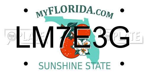 LM7E3G Florida License Plate