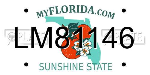 LM81146 Florida License Plate