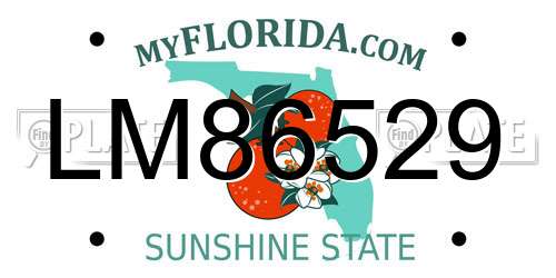 LM86529 Florida License Plate