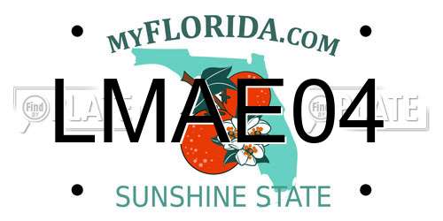 LMAE04 Florida License Plate