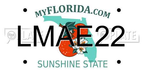 LMAE22 Florida License Plate