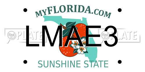 LMAE3 Florida License Plate