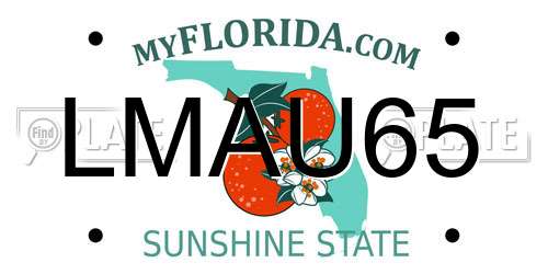 LMAU65 Florida License Plate