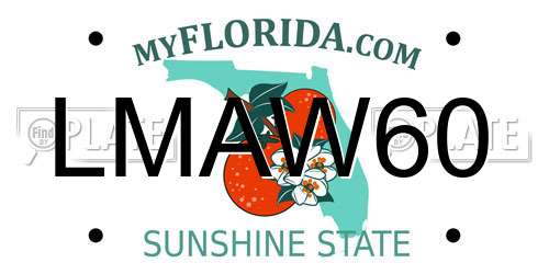 LMAW60 Florida License Plate