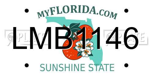 LMB1146 Florida License Plate