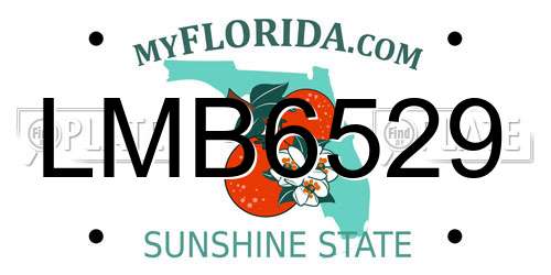 LMB6529 Florida License Plate
