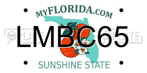 LMBC65 Florida License Plate