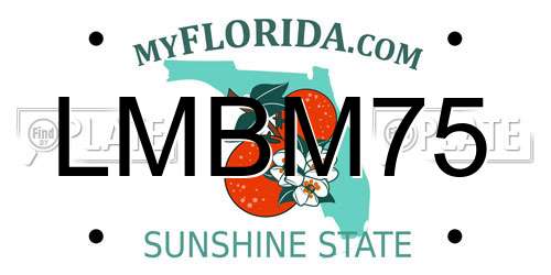 LMBM75 Florida License Plate