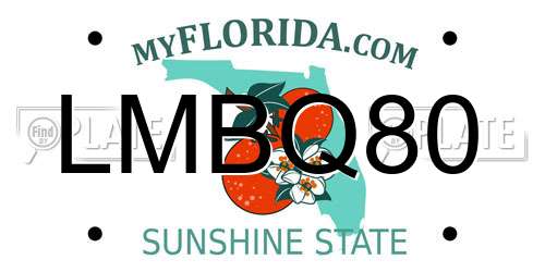 LMBQ80 Florida License Plate