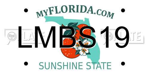 LMBS19 Florida License Plate