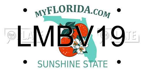 LMBV19 Florida License Plate