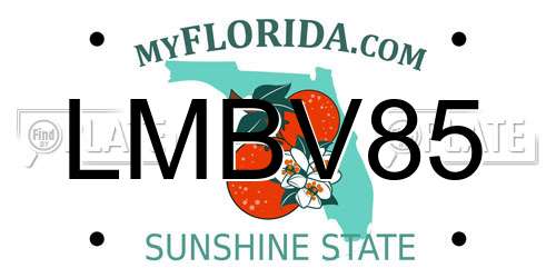 LMBV85 Florida License Plate