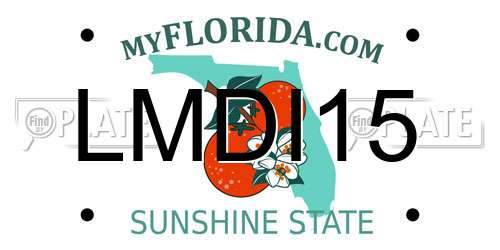 LMDI15 Florida License Plate