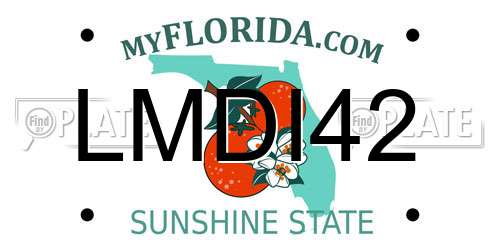 LMDI42 Florida License Plate