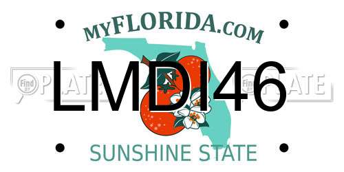 LMDI46 Florida License Plate