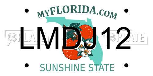 LMDJ12 Florida License Plate