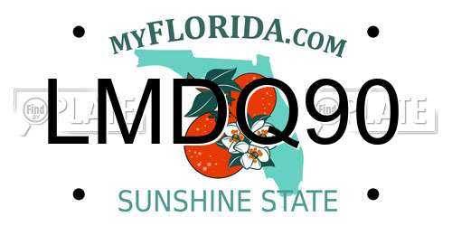LMDQ90 Florida License Plate