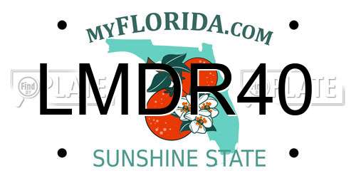 LMDR40 Florida License Plate