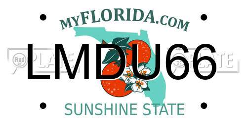 LMDU66 Florida License Plate